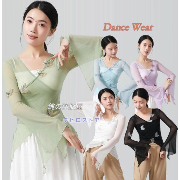 ダンス トップス 大人 長袖 チュール メッシュ Vネック ブラウス 蝶々 可愛い 柔らかい 袖スリ...