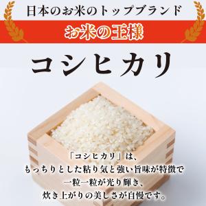 令和7年産 山形県産 こしひかり【玄米】30k...の詳細画像1