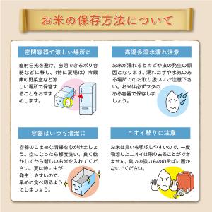 令和7年産 はえぬき【玄米】 30kg (15...の詳細画像4