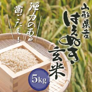 再入荷！ 令和7年度 新米 千葉県産【玄米】ふさこがね 2番穂（2期作
