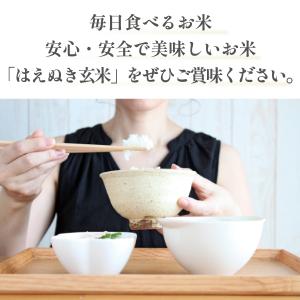 令和7年産 はえぬき【玄米】5kg 山形県 最...の詳細画像2