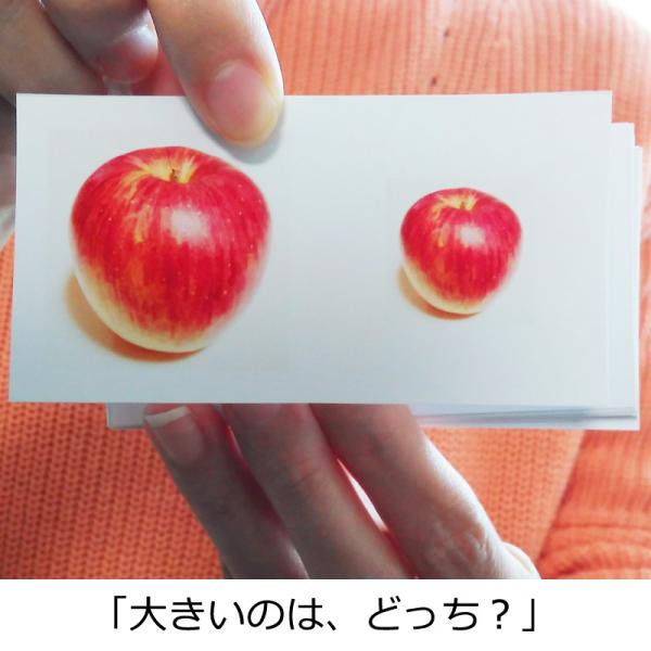 比較して覚える『どっちカード』　言葉、ひらがな、大小、長短、色、数、数字、英語の学習に　※レビューは...