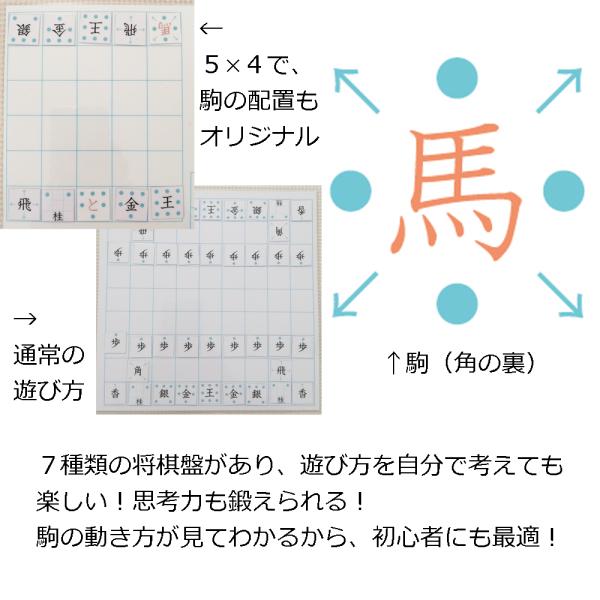 将棋盤が７種類！動き方が見える！遊び方を考える！　クリエイティブ将棋　