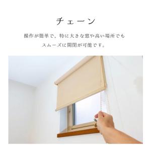 【99%以上の遮光!】つっぱり ロールスクリー...の詳細画像5