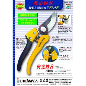 【公式・送料無料】近正 チカマサ chikam...の詳細画像3