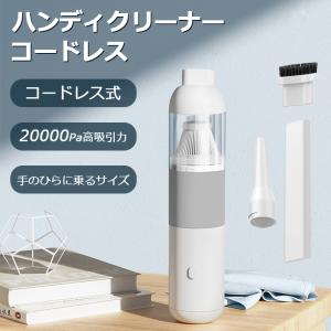 ハンディスチームクリーナー アースマン 家電小物 1406761 代引不可