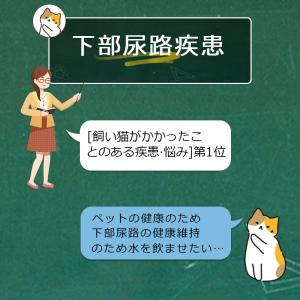 【特典あり】自動給水器 ペット給水器 猫 犬 ...の詳細画像2