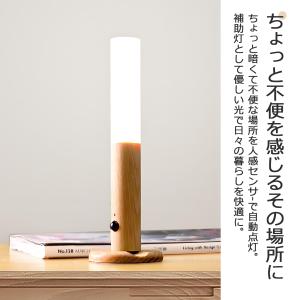 人感センサーライト led センサー 屋外 常...の詳細画像2