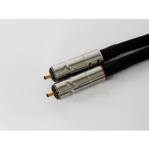 楽器の音色の再現性と音楽空間の広さを追求したチ...の詳細画像1