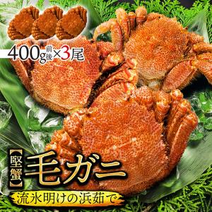 毛ガニ 400g 前後 3尾 セット 【送料無料】 北海道産 浜茹 流氷明け 水揚げ 蟹みそ 毛がに 毛蟹 かに カニ 蟹 ギフト