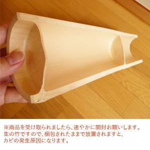 青竹健康足ふみマッサージ/足裏のツボ刺激/リラ...の詳細画像4