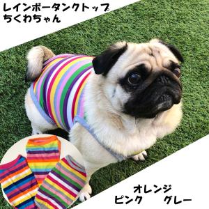 パグちゃん専門店 ちくわちゃん家 - Yahoo!ショッピング