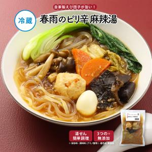 惣菜 おかず | 知久屋 春雨のピリ辛麻辣湯 冷蔵 | ちくや 手作り 無添加 健康 弁当 お取り寄せ グルメ 洋食 真空パック お祝い 夏ギフト 2026 爆買