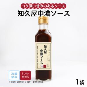 中濃ソース 200ml 手作り 調味料 健康 惣菜 知久屋 (ちくや)