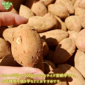 安納芋 有機栽培 Sサイズ 4kg 鹿児島県産...の詳細画像1