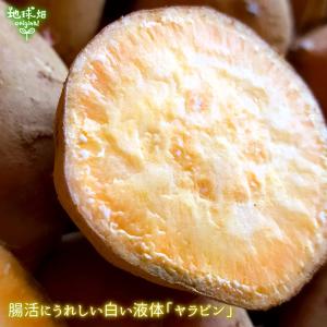 安納芋 有機栽培 Sサイズ 4kg 鹿児島県産...の詳細画像3