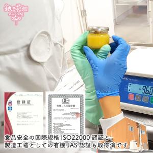地球畑 ベビーフード 離乳食 お試し 有機野菜...の詳細画像5