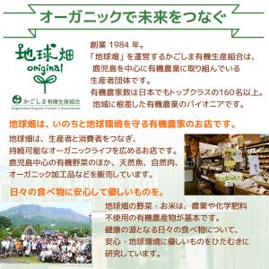 地球畑 ベビーフード 離乳食 お試し 有機野菜...の詳細画像4
