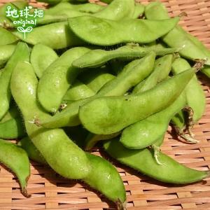 完売ありがとうございました 枝豆 1kg 鹿児...の詳細画像4