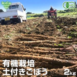 ごぼう 2kg 有機栽培 冷蔵便 鹿児島県産 宮崎県産