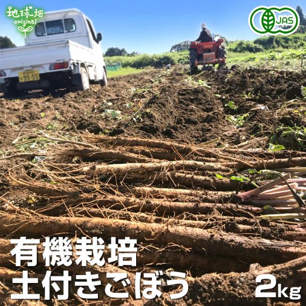 ごぼう 2kg 有機栽培 冷蔵便 鹿児島県産 宮崎県産 ゴボウ 牛蒡 化学肥料・農薬不使用 土付き ...