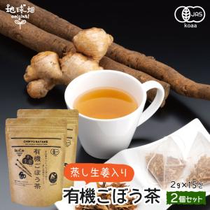 有機 蒸し 生姜 ごぼう茶 国産 ティーパック 無添加 2g×15包×2p ゴボウ 牛蒡 しょうが 有機栽培 JAS ノンカフェイン 生姜湯 メール便