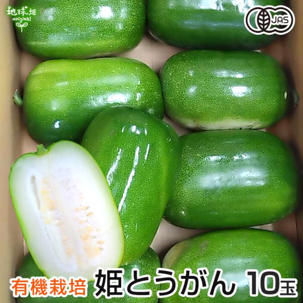 姫とうがん 10玉 有機栽培 鹿児島県産 1玉1〜2kg オーガニック organic 冬瓜 トウガ...