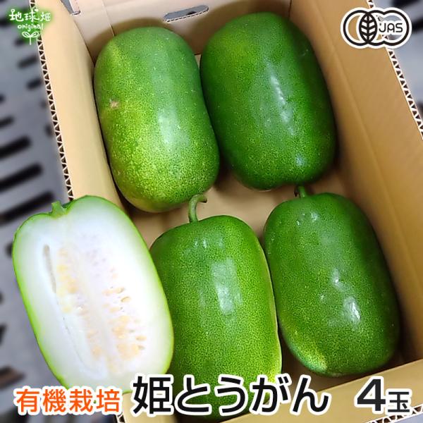 姫とうがん 4玉 有機栽培 鹿児島県産 1玉1〜2kg オーガニック organic 冬瓜 トウガン...