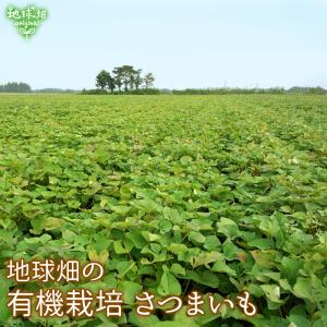 国産 干し芋 さつまいも 鹿児島県産 有機紅は...の詳細画像1