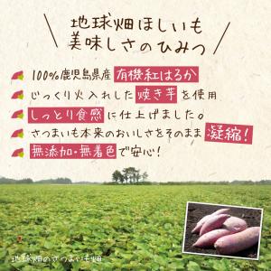 国産 干し芋 さつまいも 鹿児島県産 有機紅は...の詳細画像3