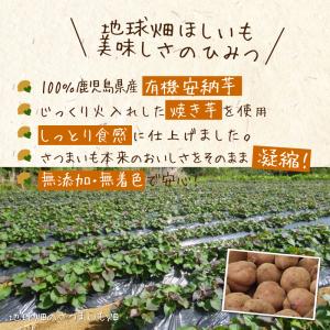 干し芋 さつまいも 鹿児島県産 有機安納芋「か...の詳細画像3