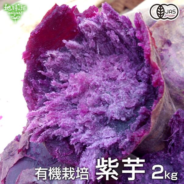 紫芋 2kg 有機栽培 さつまいも 生 鹿児島県産 宮崎県産 1本100〜500g 土付 紫いも パ...