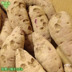 訳あり 紫芋 4kg 有機栽培 鹿児島県産 宮...の詳細画像3