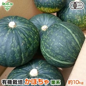 残りわずか 有機かぼちゃ 10kg(4〜9玉) 鹿児島県産