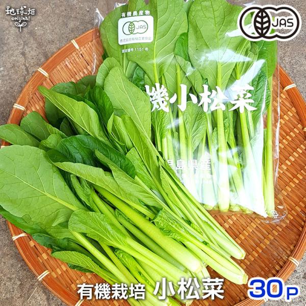 小松菜 150g×30P 有機栽培 送料無料 鹿児島県産 オーガニック 九州産 こまつな 業務用 ま...