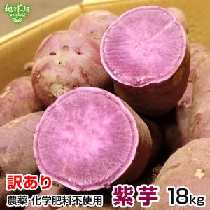 訳あり 紫芋 18kg 農薬・化学肥料不使用 鹿児島県産 訳アリ B品 土付き 紫いも パープルスイートロード むらさきいも さつまいも 発送期間11〜1月