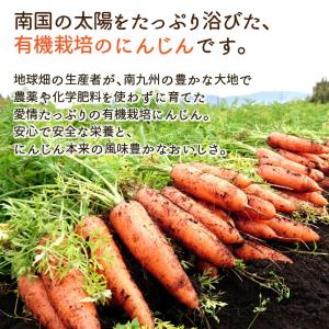 訳あり 人参 9kg 有機栽培 冷蔵便 鹿児島...の詳細画像1