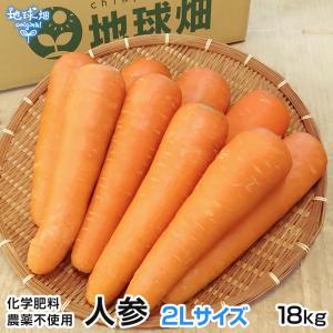 人参 2Lサイズ 18kg 農薬・化学肥料・除草剤不使用 鹿児島県産 宮崎県産 1本300〜600g 洗い にんじん ニンジン organic A品 常温便 発送期間2月〜3月