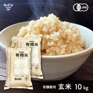 森のくまさん お米 10kg 無洗米 精米 令和7年 熊本のおいしいお米 5kg