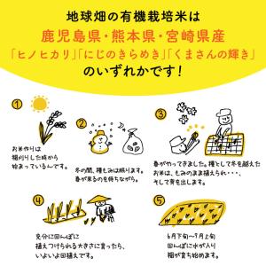10月発送 有機白米 10kg 新米 令和8年...の詳細画像5