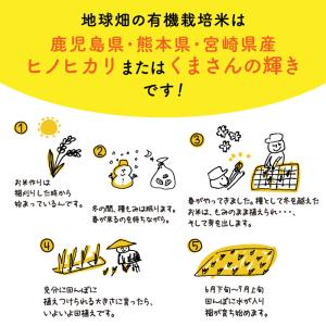 7/9発送 有機白米 5kg 令和7年産 鹿児...の詳細画像5