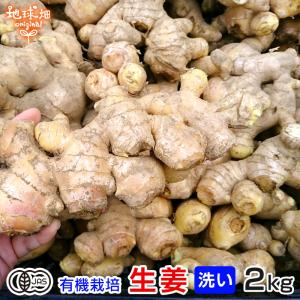 生姜 2kg 有機栽培 冷蔵便 鹿児島県産 宮崎県産 農薬・化学肥料不使用 洗い 生 無農薬 有機JAS 生生姜 しょうが 温活 2023年産 ひね生姜