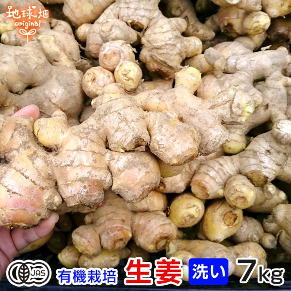 生姜 7kg 有機栽培 冷蔵便 鹿児島県産 宮崎県産 農薬・化学肥料不使用 洗い 生 無農薬 有機J...