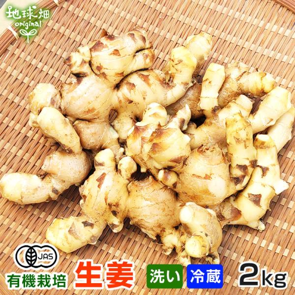 2025年産 新生姜 2kg 有機栽培 冷蔵便 鹿児島県産 宮崎県産 洗い 生 JAS 生新生姜 新...