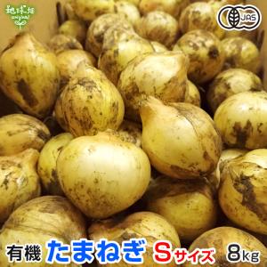 たまねぎ Sサイズ 8kg 有機栽培 鹿児島県産 1個100g未満 ペコロス ちび玉ねぎ ミニ タマネギ 玉葱 玉ねぎ 有機JAS オーガニック 発送期間4〜6月 爆買｜地球畑
