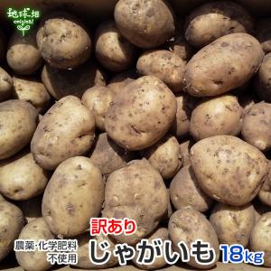 訳あり じゃがいも 18kg 化学肥料・農薬不使用 鹿児島県産 宮崎県産 B品 ジャガイモ 馬鈴薯 ポテト ニシユタカ デジマ 土付き 無農薬 規格外 自宅用 業務用