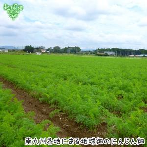 訳あり 人参 4kg 有機栽培 冷蔵便 鹿児島...の詳細画像2