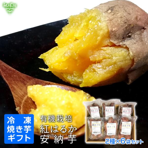 焼き芋 ギフト さつまいも 鹿児島県産 有機紅はるか 有機安納芋 2種×3袋 計6袋 Sサイズ ひと...