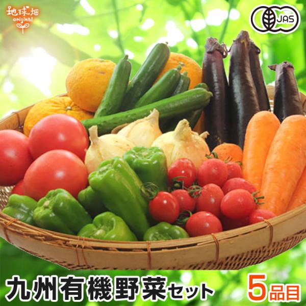 おためし有機野菜セット おまかせ５品目 お試し 冷蔵便 送料無料 九州産 鹿児島県 有機栽培 有機J...