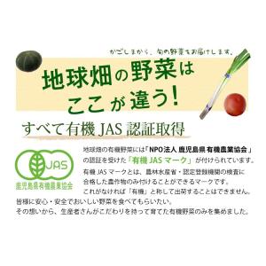 おためし有機野菜セット おまかせ5品目 お試し...の詳細画像2